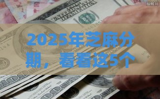 2025年芝麻分期，看看这5个最新晚上也能秒下款的口子