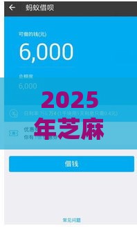 2025年芝麻分期，看看这5个最新晚上也能秒下款的口子