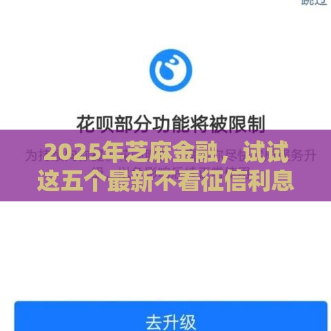 2025年芝麻金融，试试这五个最新不看征信利息低的正规网贷平台