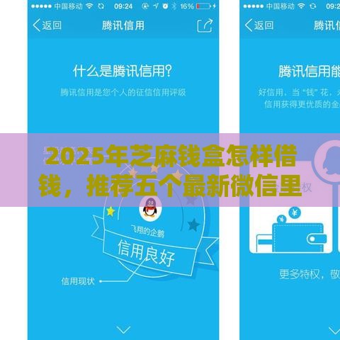 2025年芝麻钱盒怎样借钱，推荐五个最新微信里可以借钱的平台