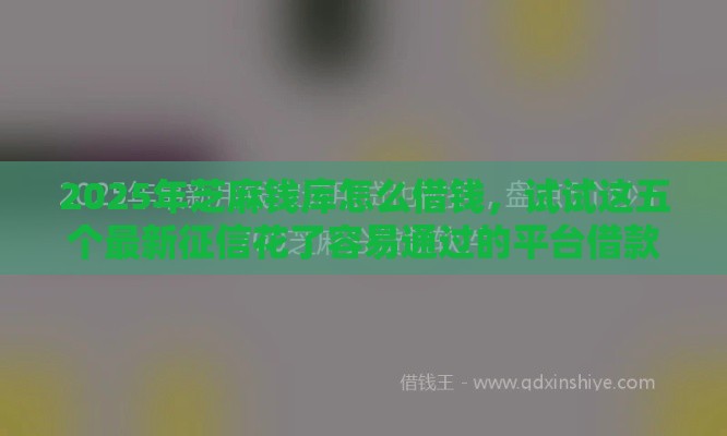 2025年芝麻钱库怎么借钱，试试这五个最新征信花了容易通过的平台借款