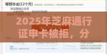 2025年芝麻通行证申卡被拒，分享5个最新十六岁贷款平台