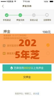 2025年芝麻信用597分可以借钱，分享5个最新征信花了也能借钱的正规平台