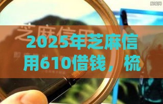 2025年芝麻信用610借钱，梳理五个最新征信黑了还能借钱的平台