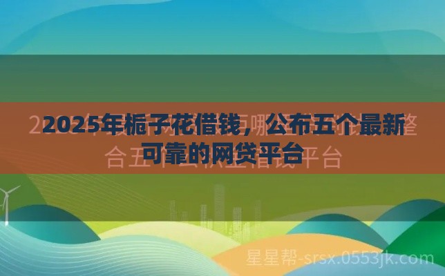 2025年栀子花借钱，公布五个最新可靠的网贷平台