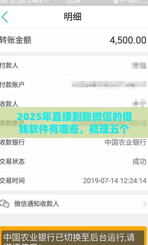 2025年直接到账微信的借钱软件有哪些，梳理五个最新有什么好贷款的平台