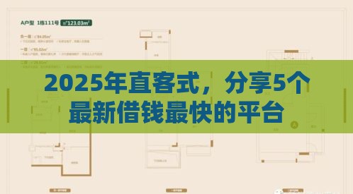 2025年直客式，分享5个最新借钱最快的平台