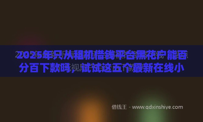 2025年只从租机借钱平台黑花户能百分百下款吗，试试这五个最新在线小额贷款平台