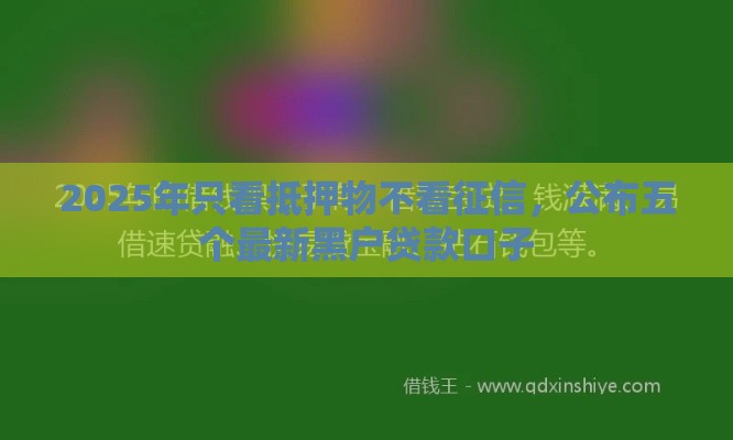 2025年只看抵押物不看征信，公布五个最新黑户贷款口子