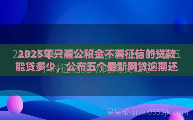 2025年只看公积金不看征信的贷款能贷多少，公布五个最新网贷逾期还可以借钱的口子