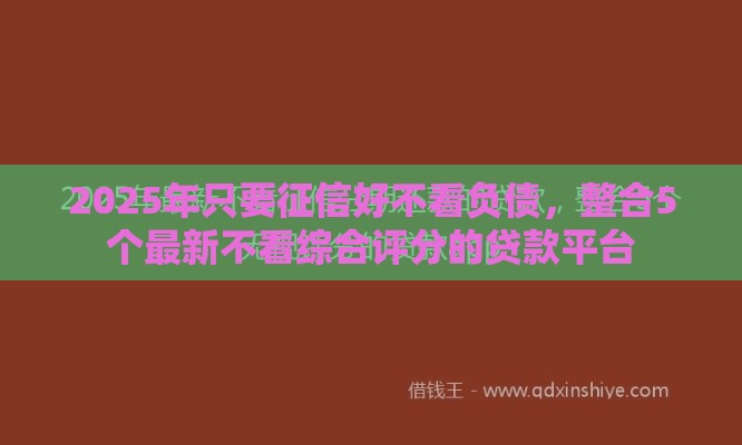 2025年只要征信好不看负债，整合5个最新不看综合评分的贷款平台