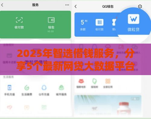 2025年智选借钱服务，分享5个最新网贷大数据平台