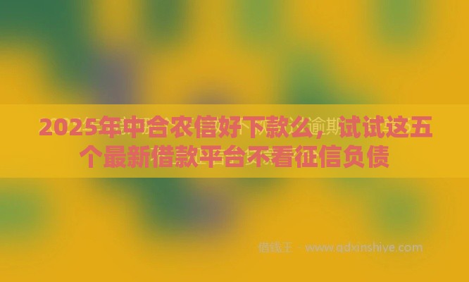 2025年中合农信好下款么，试试这五个最新借款平台不看征信负债