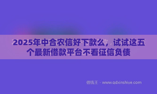 2025年中合农信好下款么，试试这五个最新借款平台不看征信负债