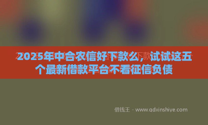 2025年中合农信好下款么，试试这五个最新借款平台不看征信负债