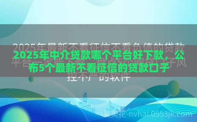2025年中介贷款哪个平台好下款，公布5个最新不看征信的贷款口子
