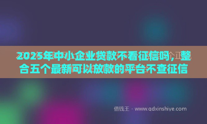 2025年中小企业贷款不看征信吗，整合五个最新可以放款的平台不查征信