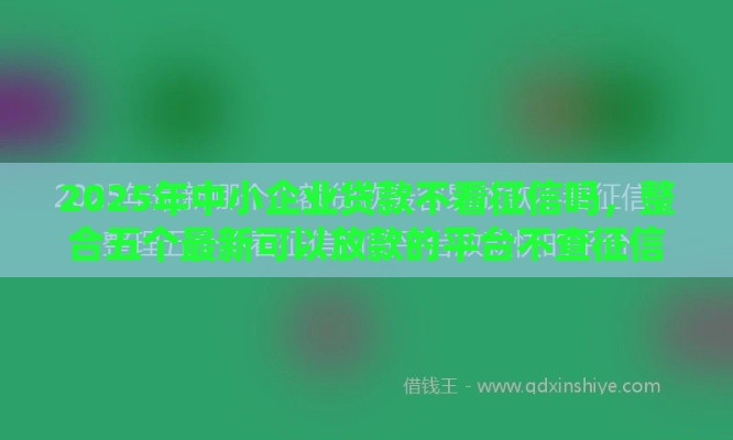2025年中小企业贷款不看征信吗，整合五个最新可以放款的平台不查征信