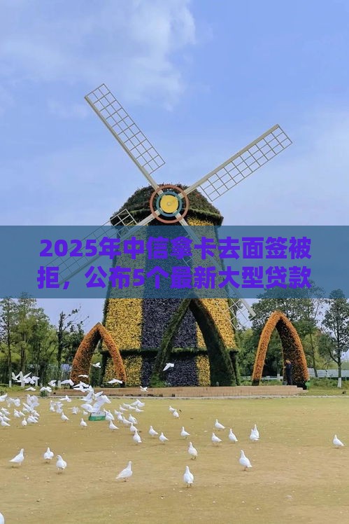 2025年中信拿卡去面签被拒，公布5个最新大型贷款平台