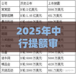 2025年中行提额审核不通过，整合五个最新2025高炮必过口子秒下款