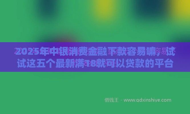 2025年中银消费金融下款容易嘛，试试这五个最新满18就可以贷款的平台