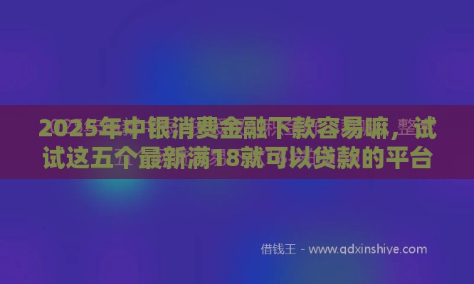 2025年中银消费金融下款容易嘛，试试这五个最新满18就可以贷款的平台