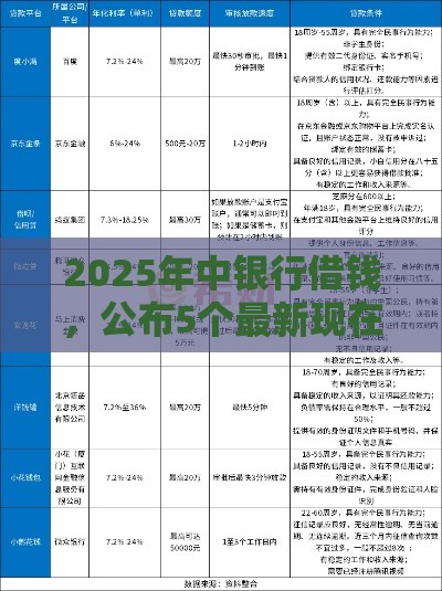 2025年中银行借钱，公布5个最新现在借款平台好借钱