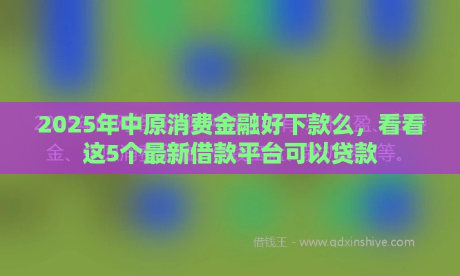2025年中原消费金融好下款么，看看这5个最新借款平台可以贷款