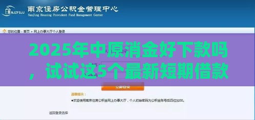 2025年中原消金好下款吗，试试这5个最新短期借款平台30天不看征信