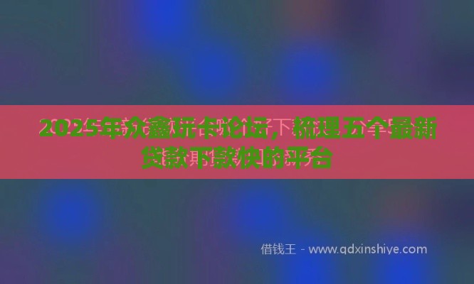 2025年众鑫玩卡论坛，梳理五个最新贷款下款快的平台