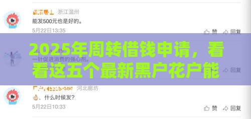 2025年周转借钱申请，看看这五个最新黑户花户能秒下款的平台