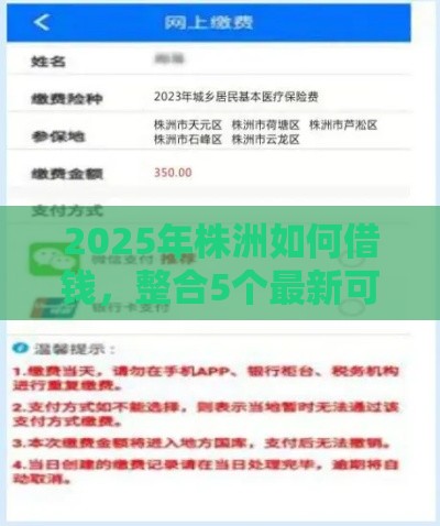 2025年株洲如何借钱，整合5个最新可以预支500元的平台