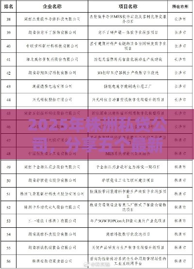 2025年株洲私贷公司，分享五个最新最好的贷款平台