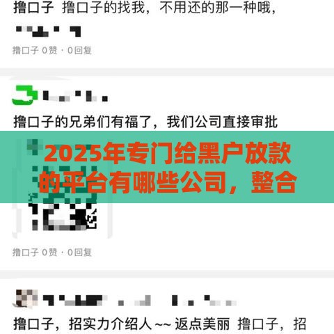 2025年专门给黑户放款的平台有哪些公司，整合五个最新65岁稳放款口子