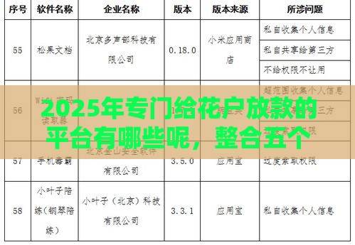 2025年专门给花户放款的平台有哪些呢，整合五个最新被执行人黑户可以申请网贷的平台