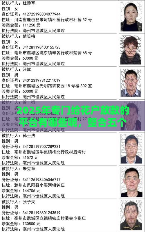 2025年专门给花户放款的平台有哪些呢，整合五个最新被执行人黑户可以申请网贷的平台