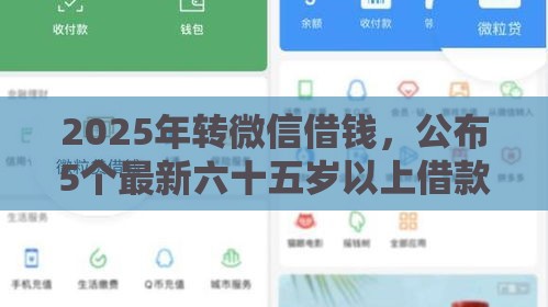 2025年转微信借钱，公布5个最新六十五岁以上借款平台