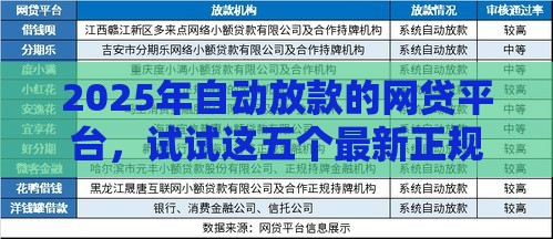 2025年自动放款的网贷平台，试试这五个最新正规平台贷款