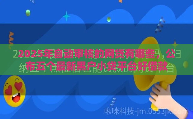 2025年自动审核的网贷有哪些，公布五个最新黑户小贷平台好借款