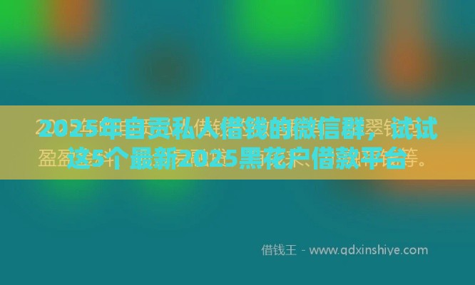 2025年自贡私人借钱的微信群，试试这5个最新2025黑花户借款平台
