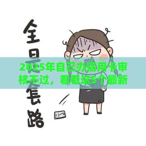 2025年自己办信用卡审核不过，看看这5个最新比较大的网贷平台