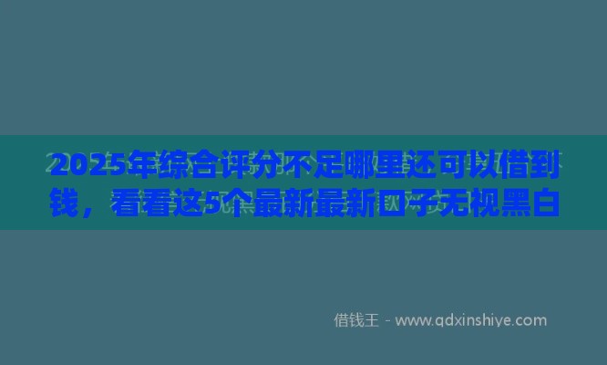 2025年综合评分不足哪里还可以借到钱，看看这5个最新最新口子无视黑白户网贷
