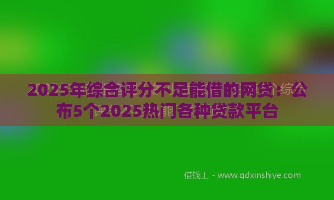 2025年综合评分不足能借的网贷：公布5个2025热门各种贷款平台