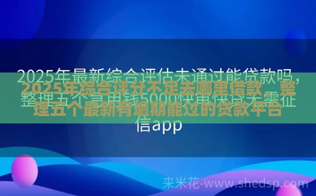 2025年综合评分不足去哪里借款，整理五个最新有逾期能过的贷款平台