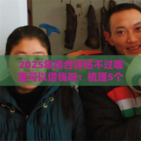 2025年综合评估不过哪里可以借钱呀：梳理5个2025热门天津黑户必下款的口子