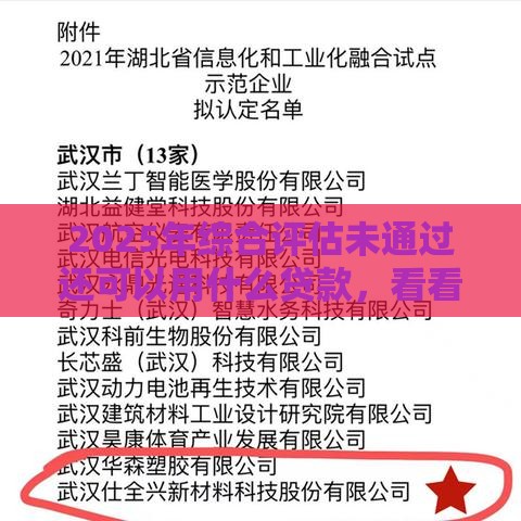 2025年综合评估未通过还可以用什么贷款，看看这五个最新贷款平台比较靠谱