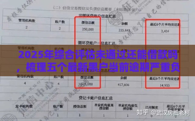 2025年综合评估未通过还能借款吗，梳理五个最新黑户当前逾期严重负债高综合评分不足能下款的平台