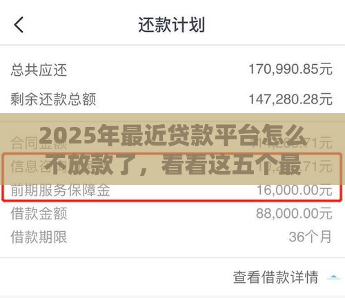 2025年最近贷款平台怎么不放款了，看看这五个最新平安网贷平台