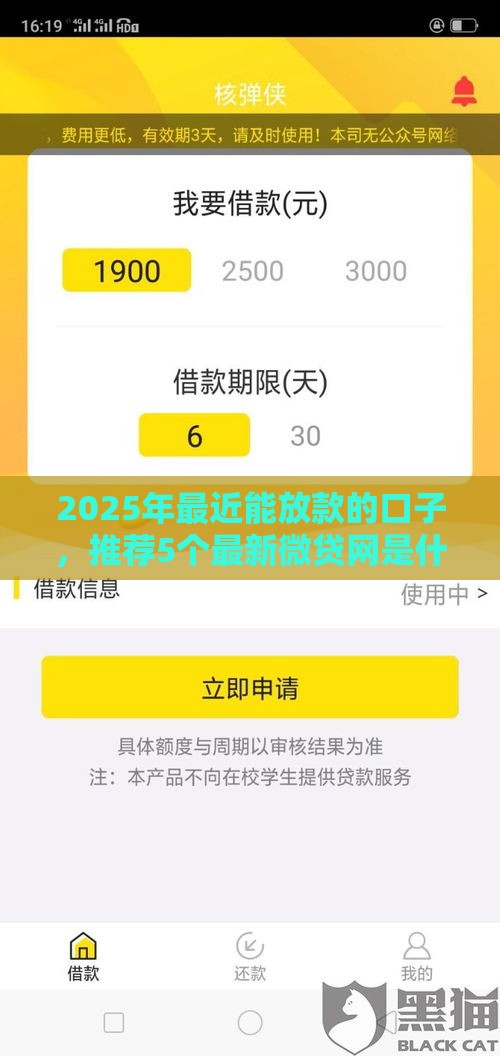 2025年最近能放款的口子，推荐5个最新微贷网是什么网贷平台
