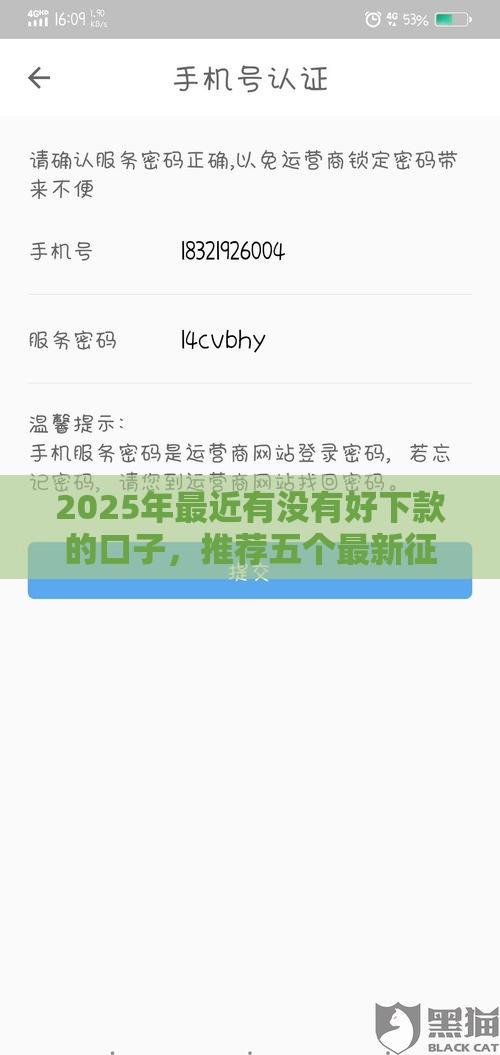 2025年最近有没有好下款的口子，推荐五个最新征信是花户平台可以借钱不
